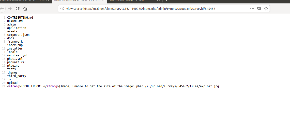 Step 4 - Execute Exploit