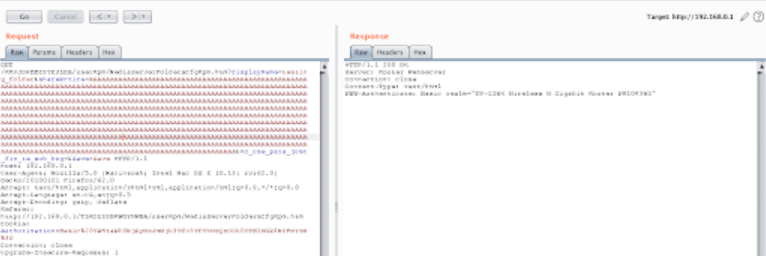 Burp Suite Repeater View