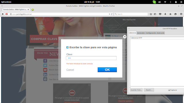 WIX Premium Zone Authentication Form